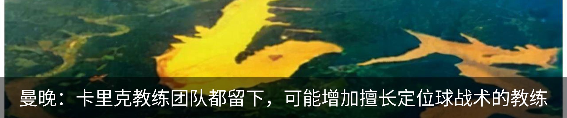 资讯动态